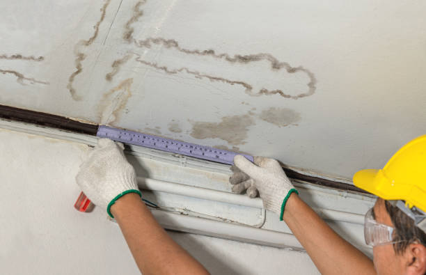Affordable Basement Flood Cleanup solutions in Panna Maria, TX